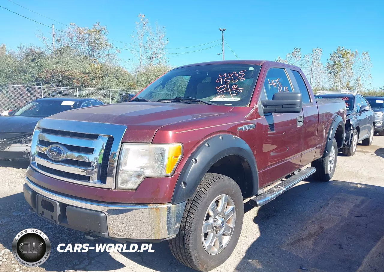 2010 Ford F-150 Stx-Xl-Xlt VIN:1FTEX1E82AFA29455 - 6