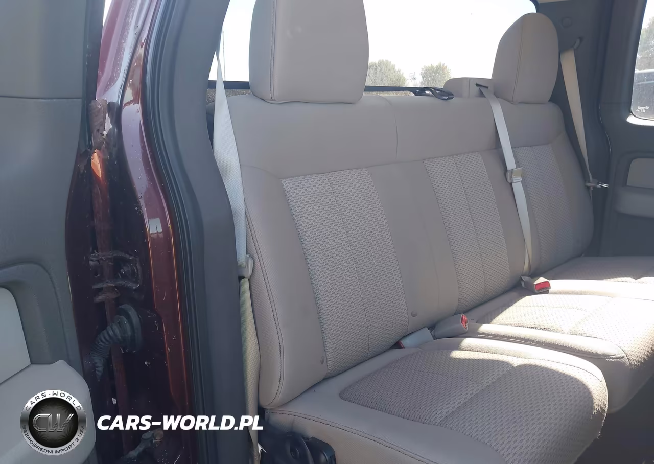 2010 Ford F-150 Stx-Xl-Xlt VIN:1FTEX1E82AFA29455 - 8