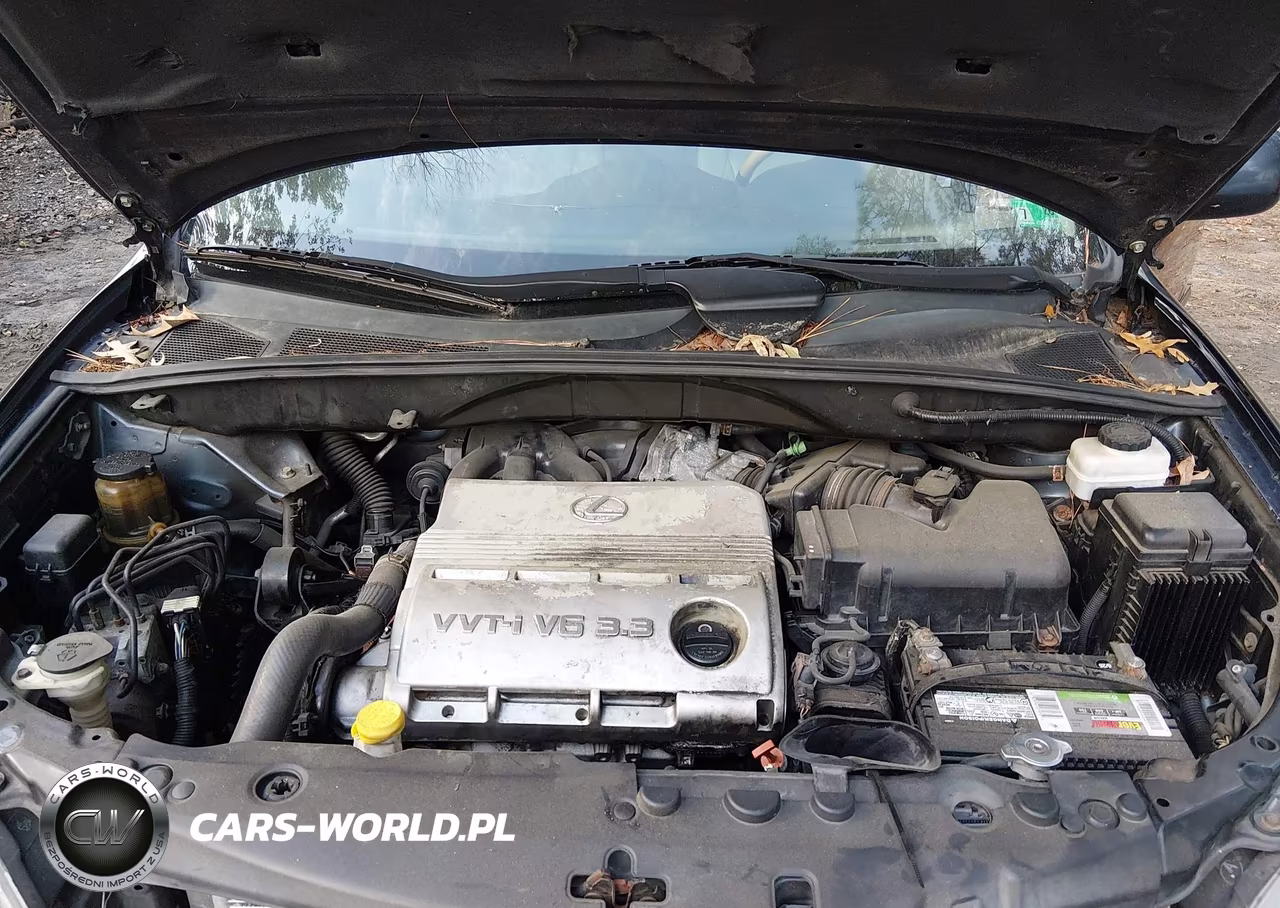 2005 Lexus Rx 330 VIN:2T2HA31U25C046151 - 10
