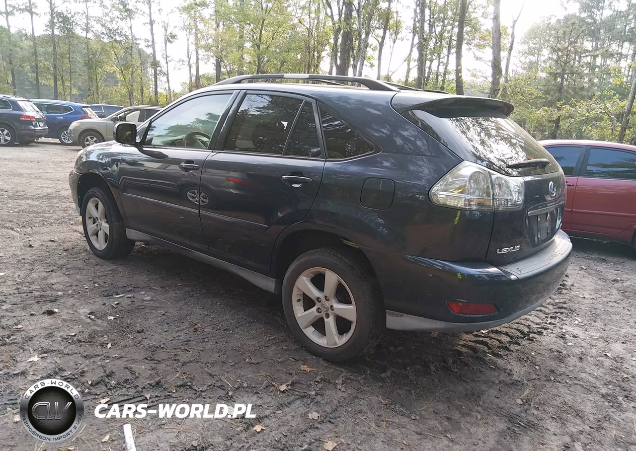 2005 Lexus Rx 330 VIN:2T2HA31U25C046151 - 3