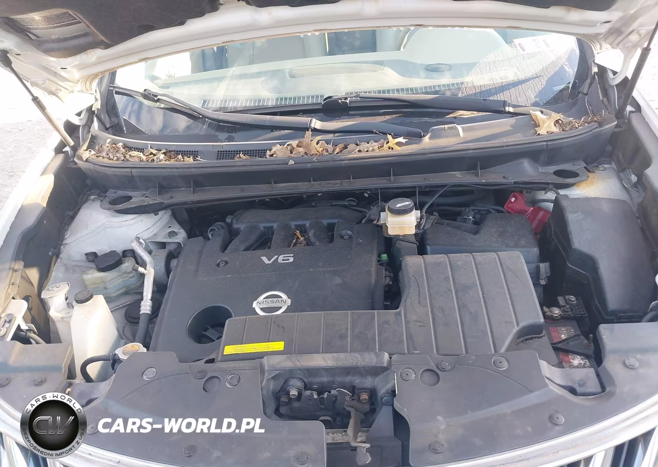 2010 Nissan Murano Sl VIN:JN8AZ1MW3AW112910 - 10