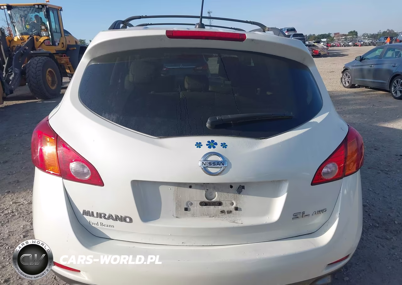 2010 Nissan Murano Sl VIN:JN8AZ1MW3AW112910 - 16