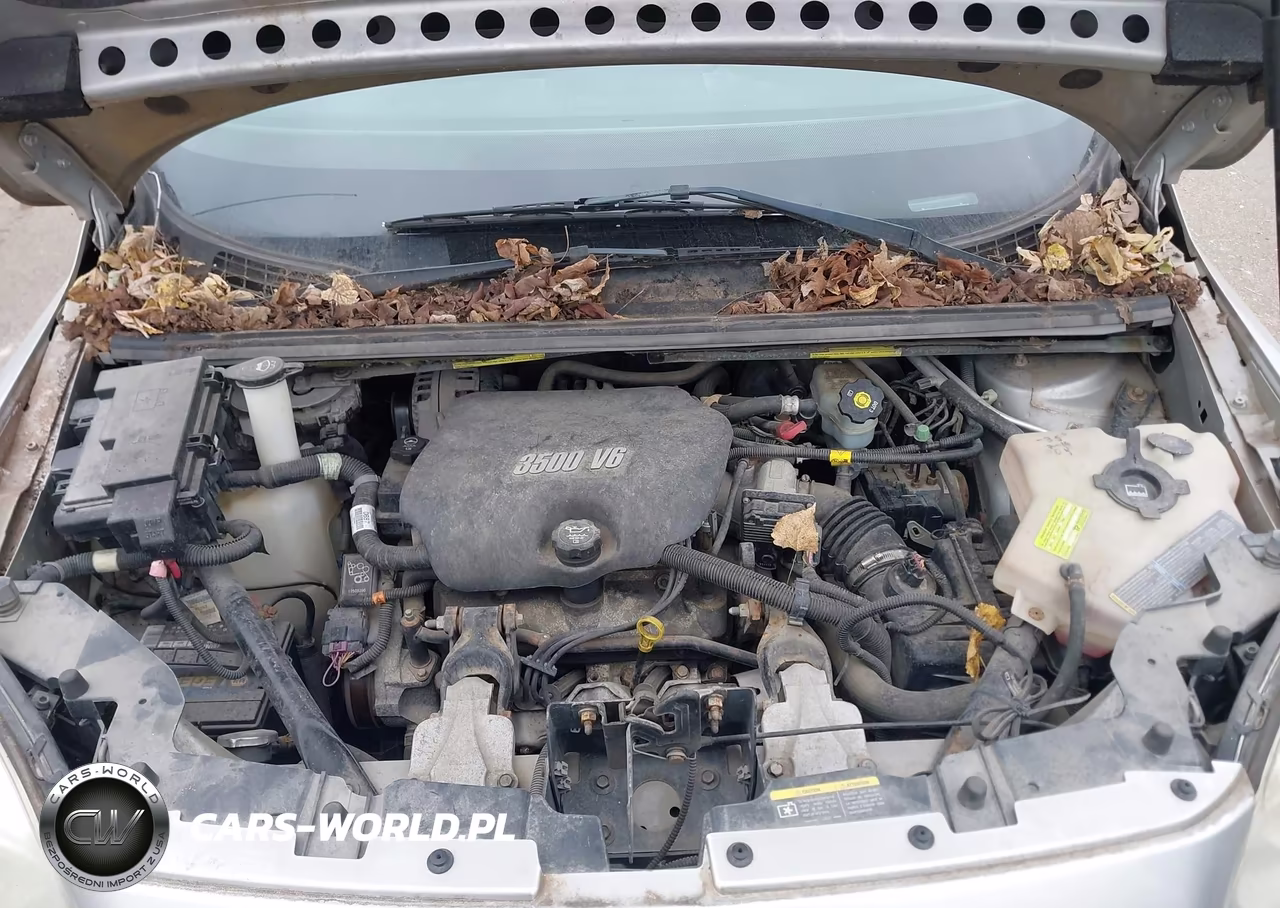 2006 Buick Terraza Cx VIN:5GADV23L46D196841 - 10