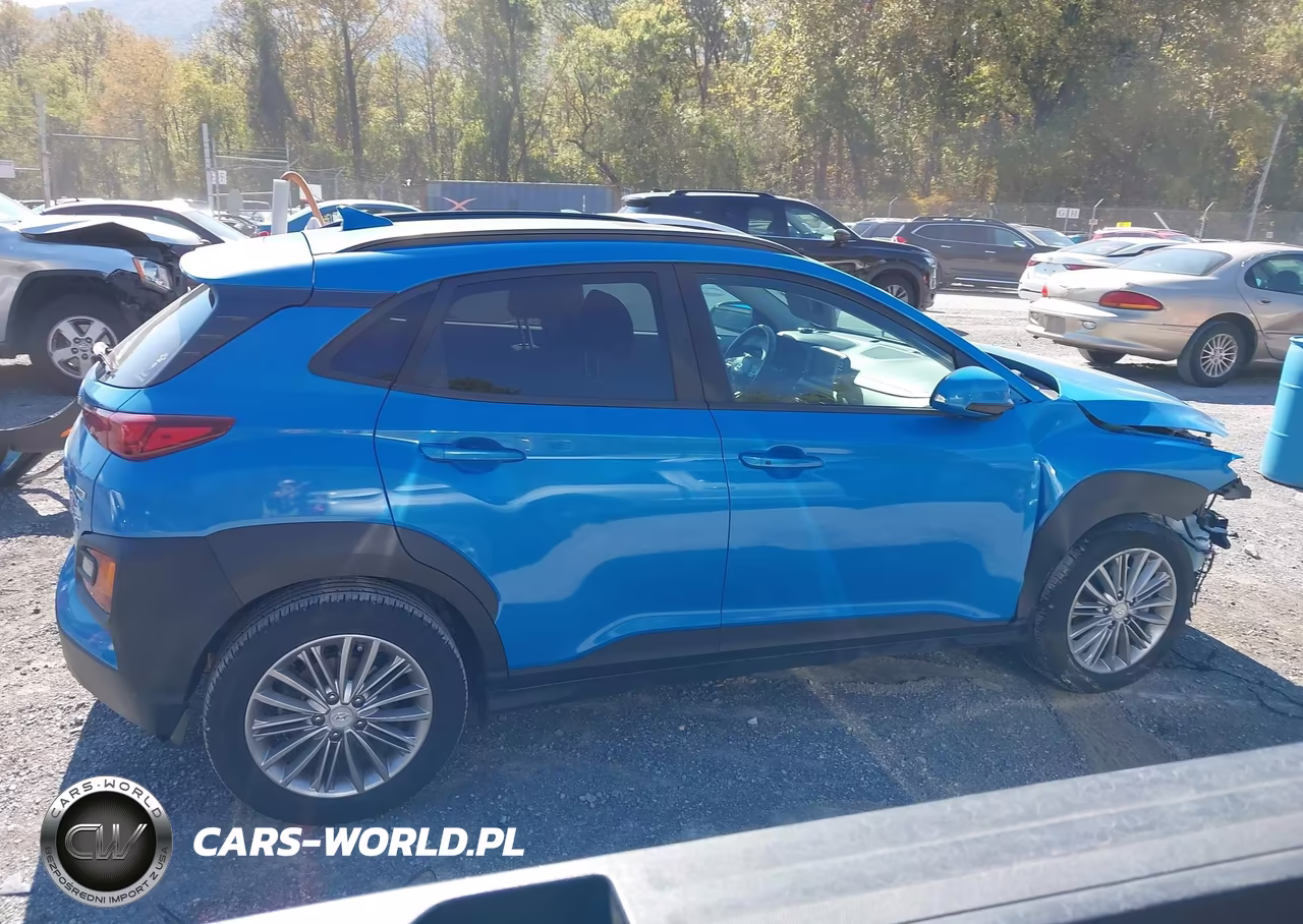 2019 Hyundai Kona Sel VIN:KM8K6CAA6KU349655 - 13