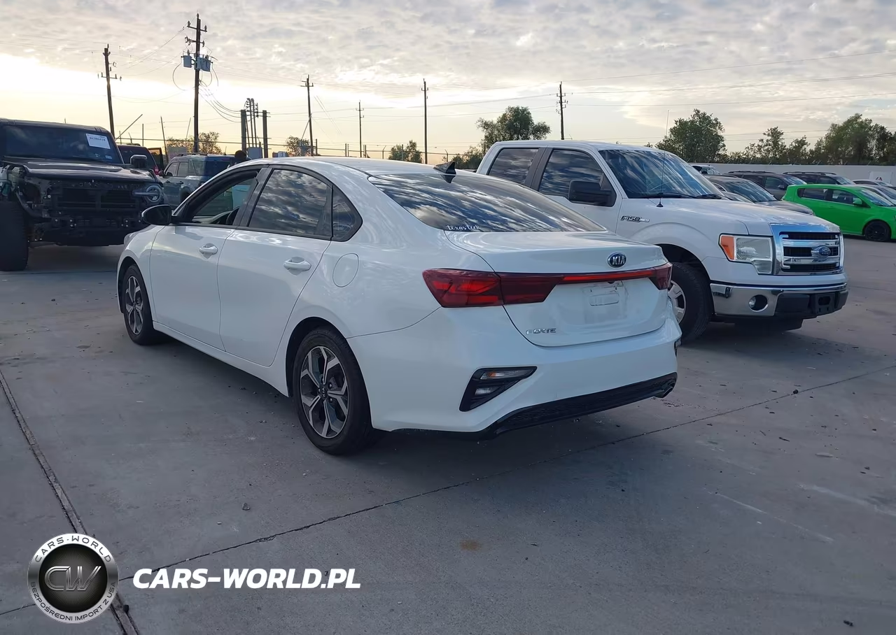 2019 Kia Forte Lxs VIN:3KPF24AD3KE109544 - 3