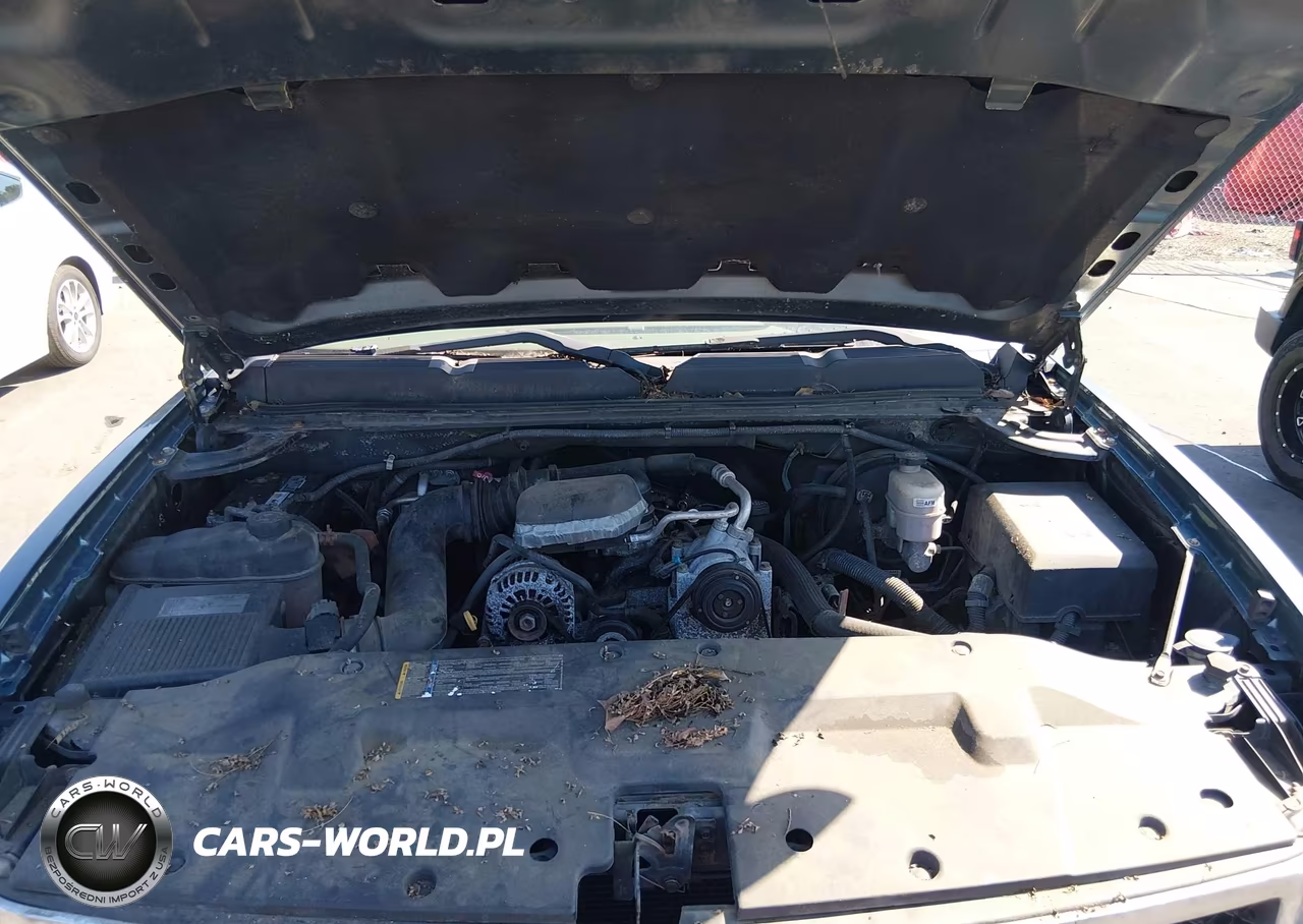 2010 Chevrolet Silverado 1500 Work Truck VIN:1GCSCPEX7AZ200014 - 10
