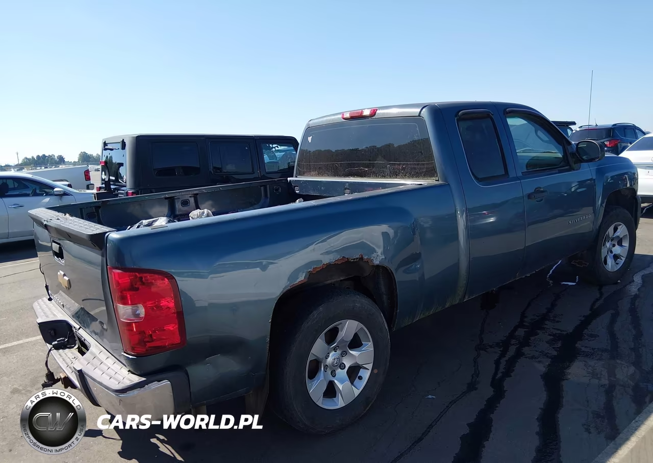 2010 Chevrolet Silverado 1500 Work Truck VIN:1GCSCPEX7AZ200014 - 4