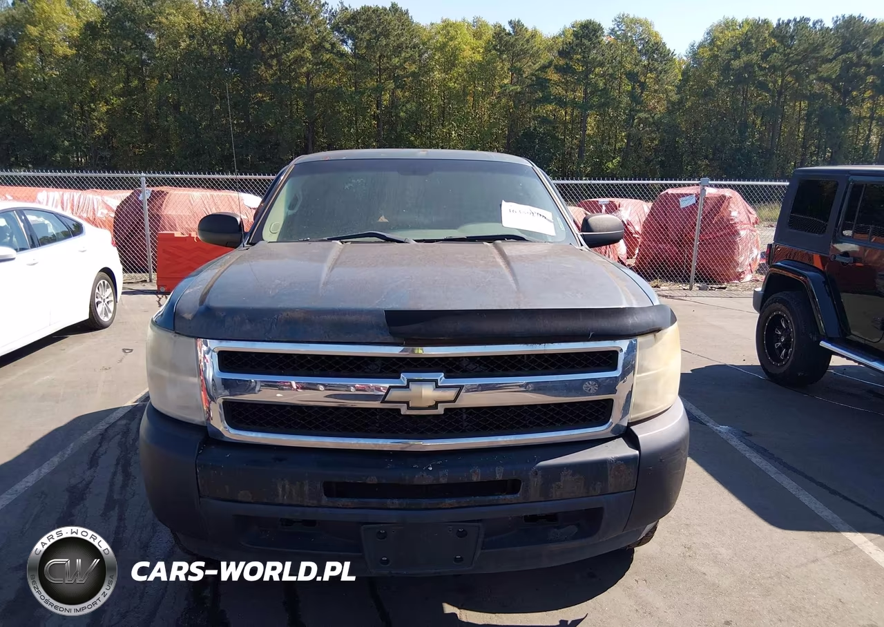 2010 Chevrolet Silverado 1500 Work Truck VIN:1GCSCPEX7AZ200014 - 6