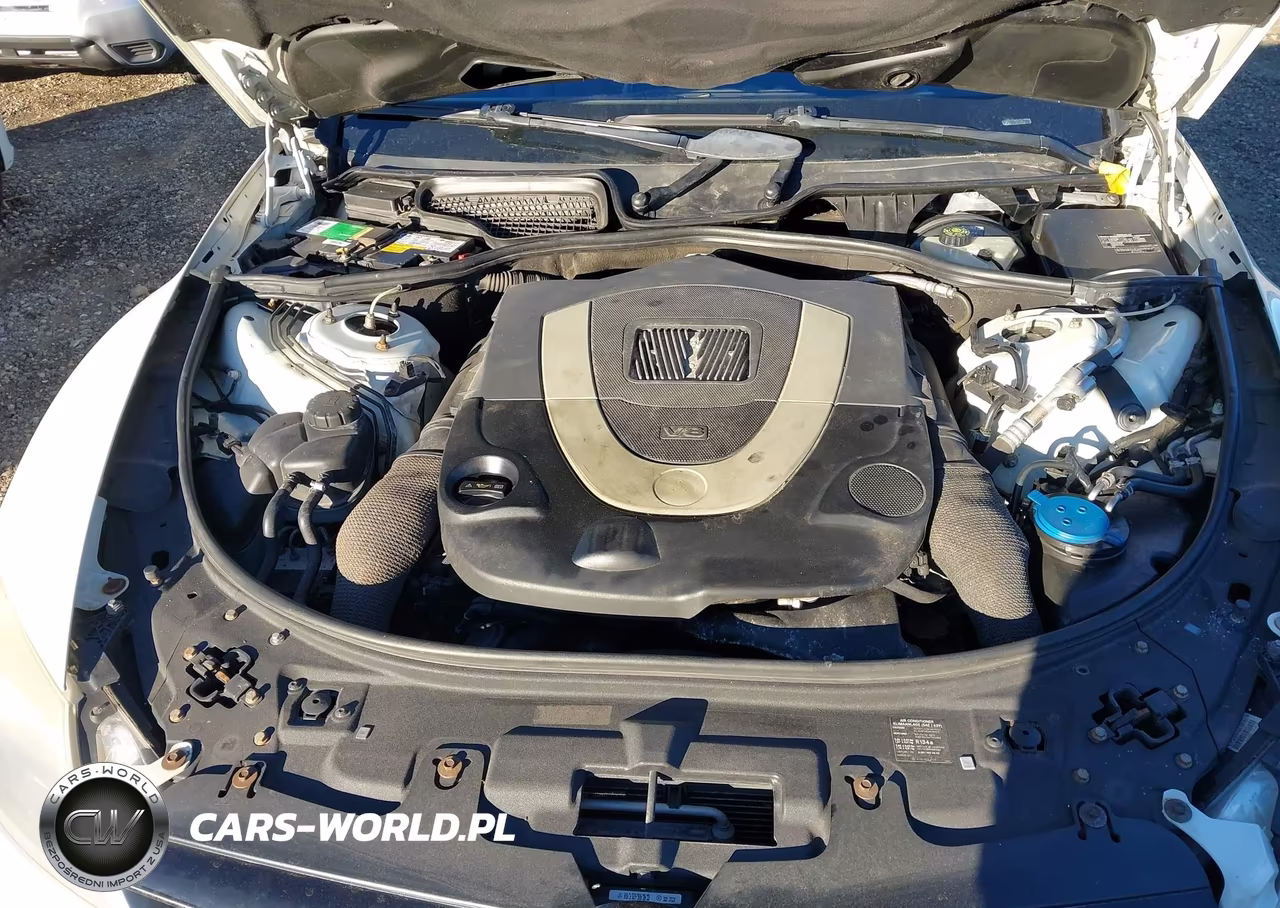 2009 Mercedes-Benz Cl 550 4Matic VIN:WDDEJ86X59A020280 - 10