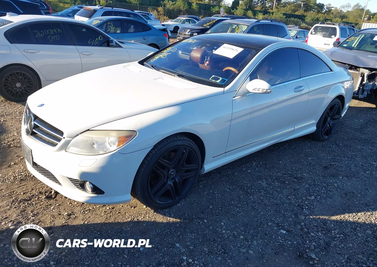 2009 Mercedes-Benz Cl 550 4Matic VIN:WDDEJ86X59A020280 - 2
