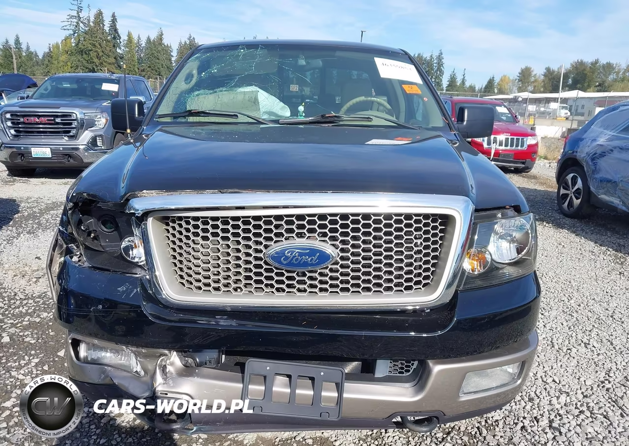 2004 Ford F-150 Fx4-Lariat-Xl-Xlt VIN:1FTPX14584NA24156 - 12