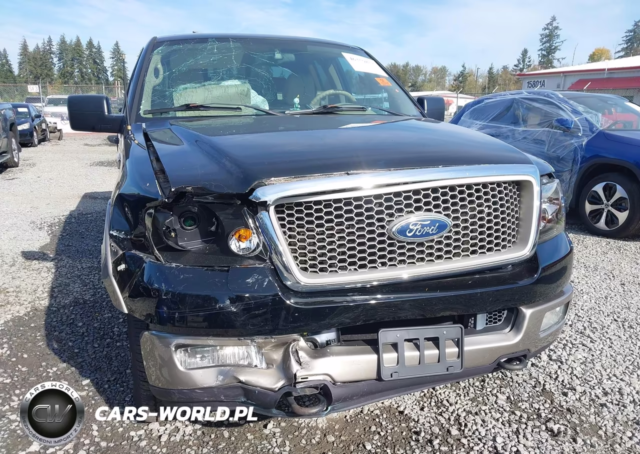 2004 Ford F-150 Fx4-Lariat-Xl-Xlt VIN:1FTPX14584NA24156 - 6