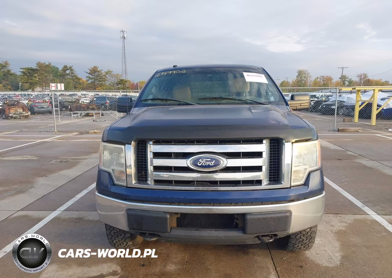 2010 Ford F-150 Xlt VIN:1FTFW1E81AFB80729 - 12