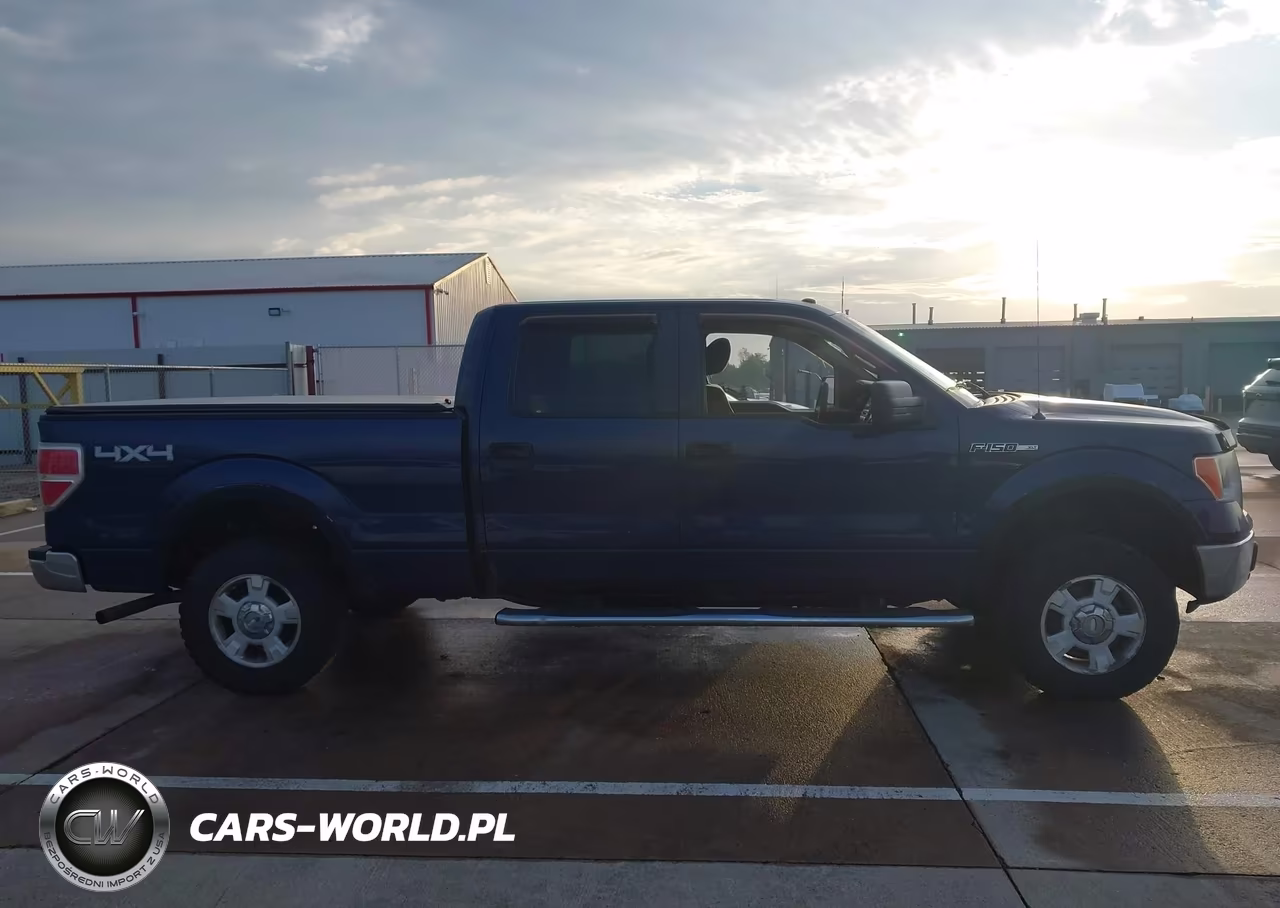2010 Ford F-150 Xlt VIN:1FTFW1E81AFB80729 - 13