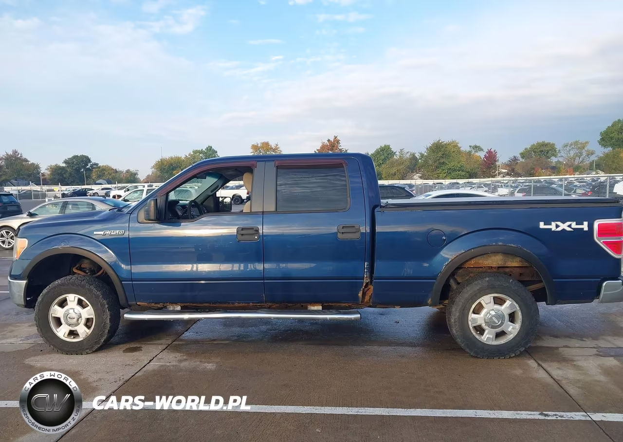 2010 Ford F-150 Xlt VIN:1FTFW1E81AFB80729 - 14