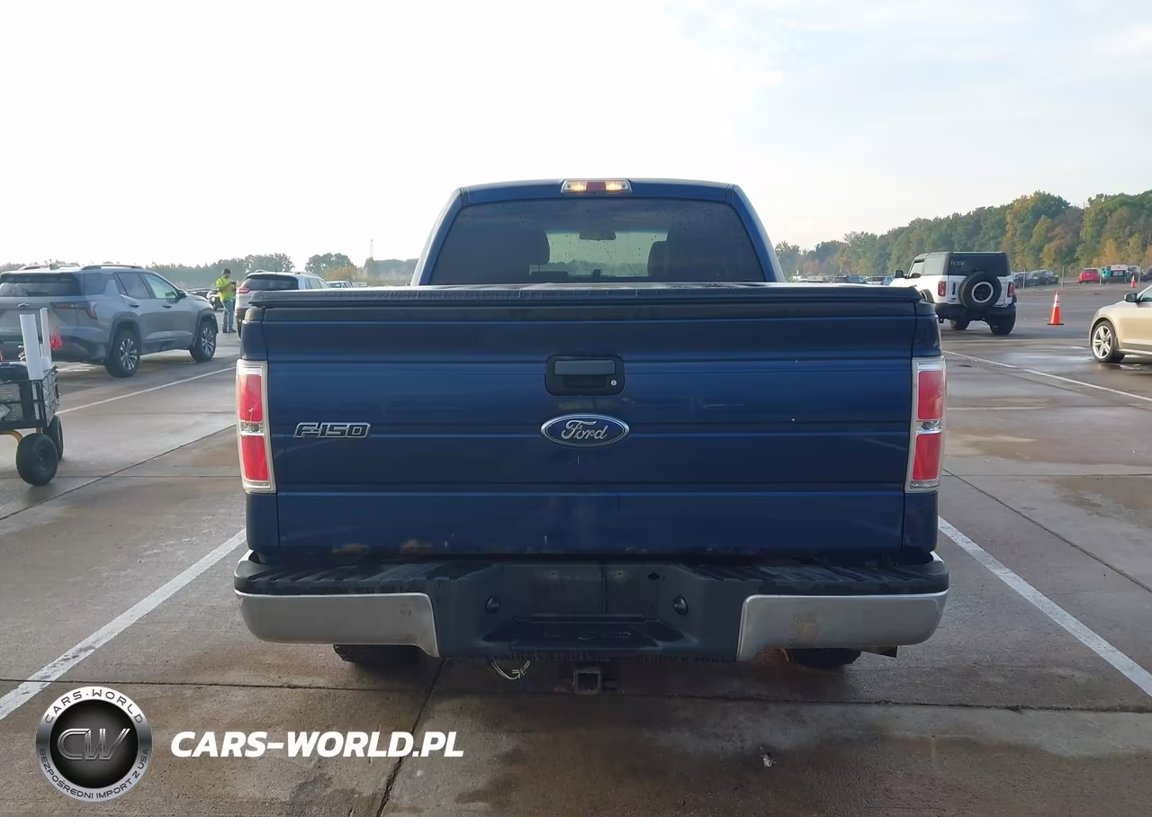2010 Ford F-150 Xlt VIN:1FTFW1E81AFB80729 - 16