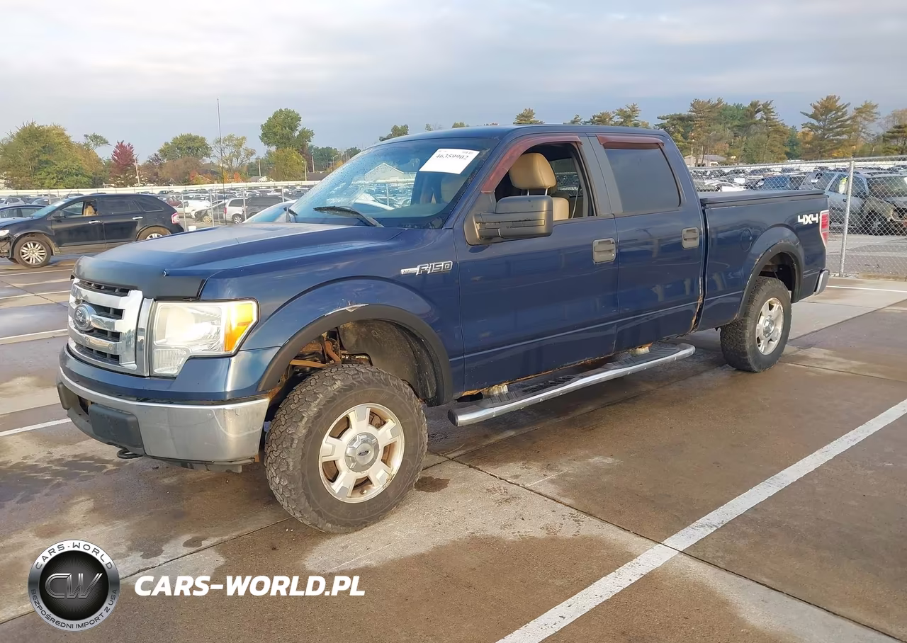 2010 Ford F-150 Xlt VIN:1FTFW1E81AFB80729 - 2
