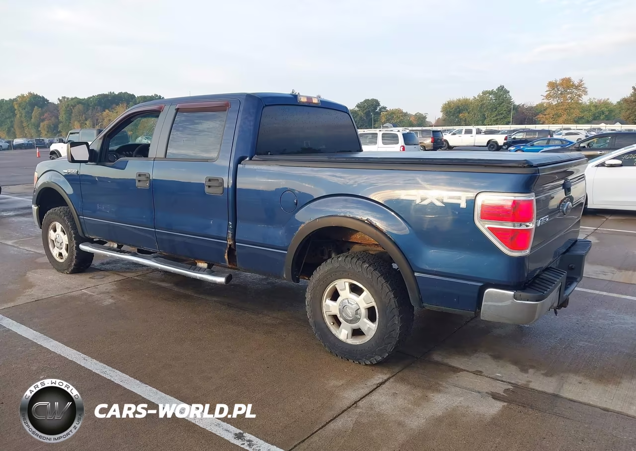2010 Ford F-150 Xlt VIN:1FTFW1E81AFB80729 - 3
