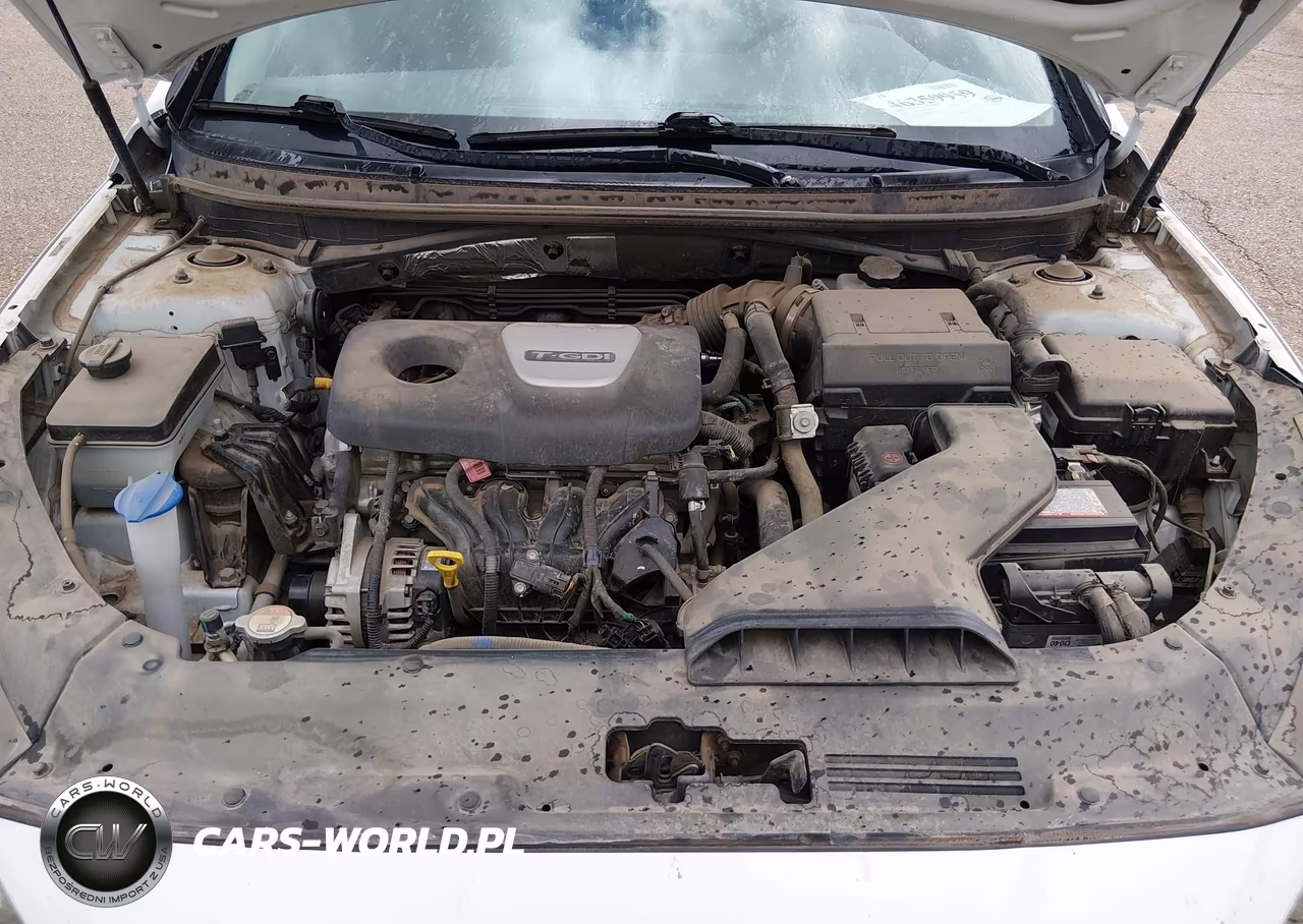 2018 Hyundai Sonata Eco VIN:5NPE24AA4JH683503 - 10