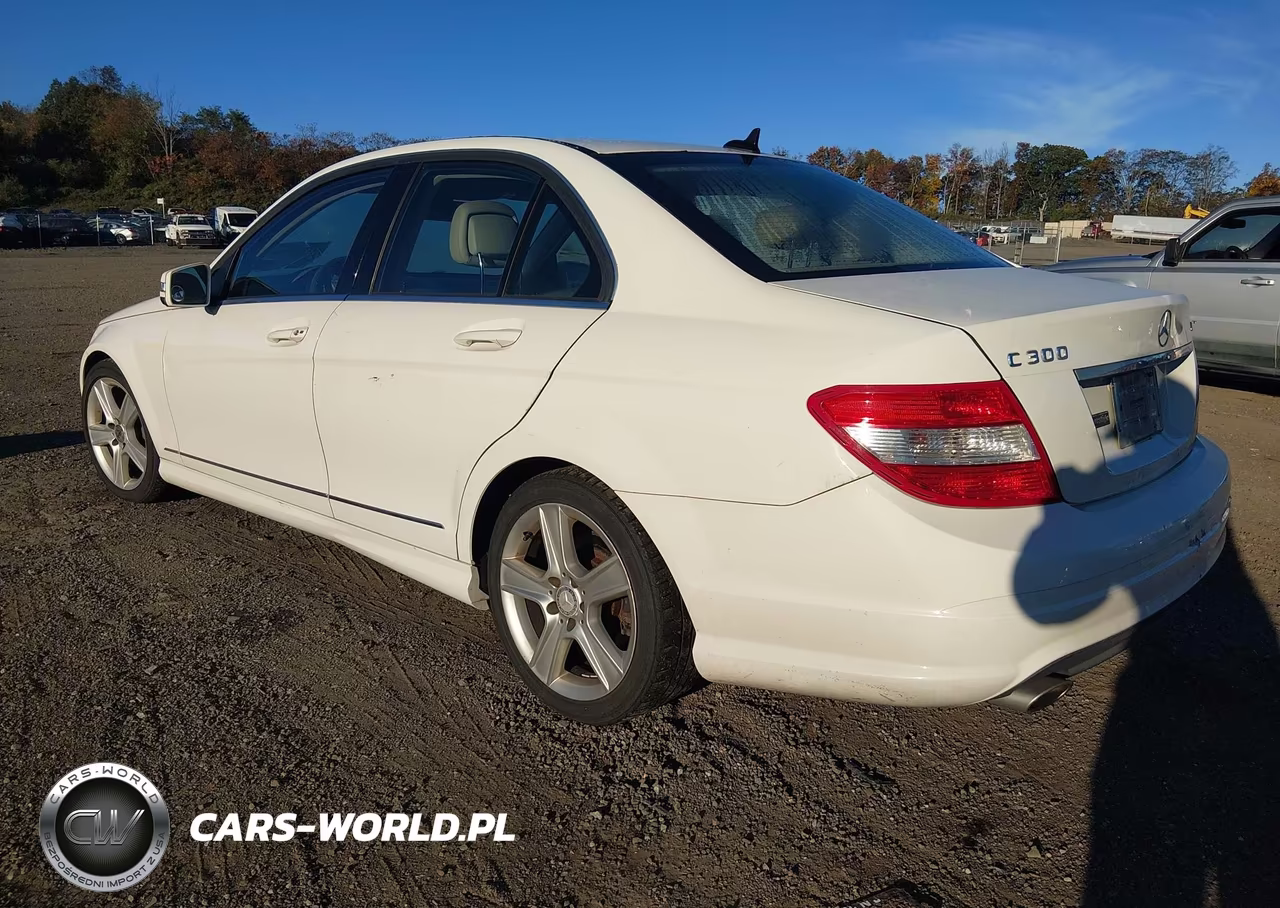 2010 Mercedes-Benz C 300 Luxury 4Matic-Sport 4Matic VIN:WDDGF8BB4AR124012 - 3