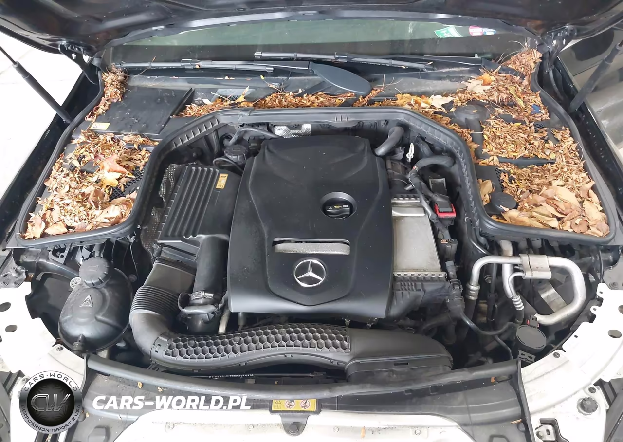 2015 Mercedes-Benz C 300 4Matic VIN:55SWF4KB8FU024358 - 10