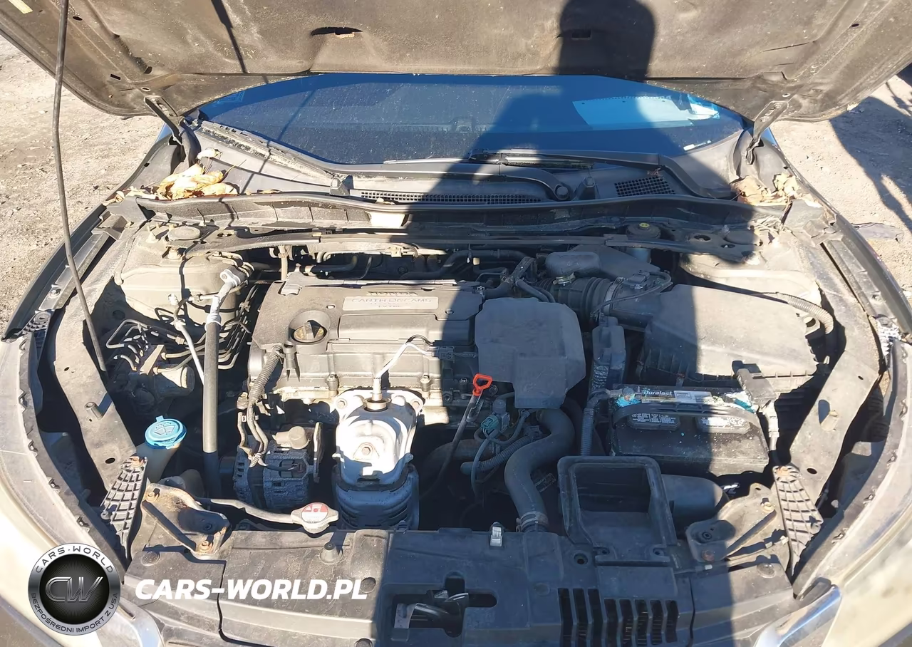 2013 Honda Accord Ex-L VIN:1HGCR2F81DA034378 - 10