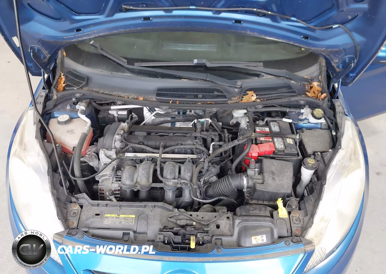 2011 Ford Fiesta Se VIN:3FADP4EJ0BM178311 - 10