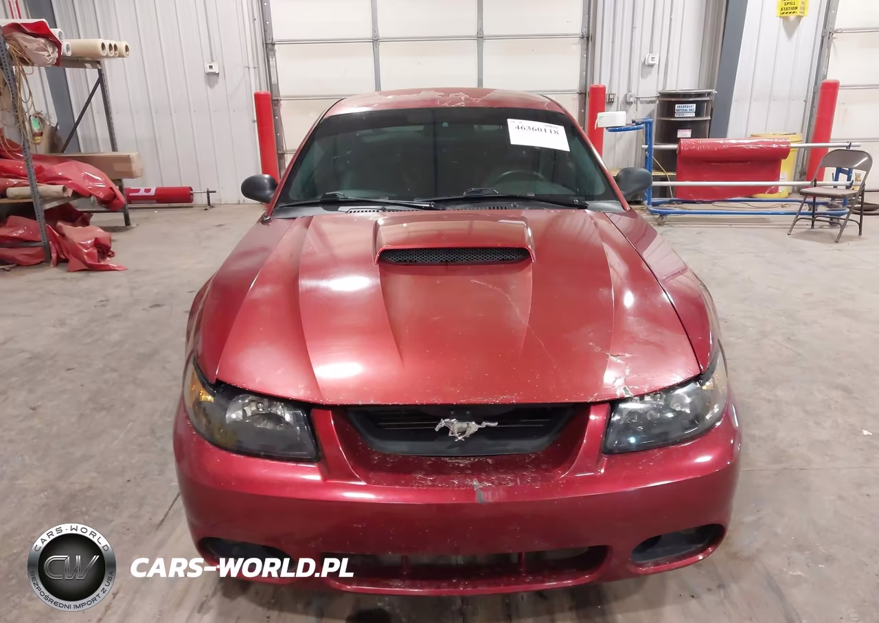 2003 Ford Mustang Gt VIN:1FAFP42X33F304003 - 12
