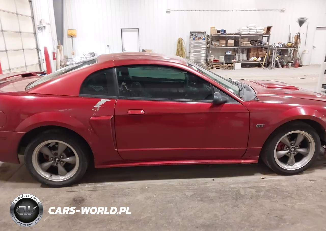 2003 Ford Mustang Gt VIN:1FAFP42X33F304003 - 13