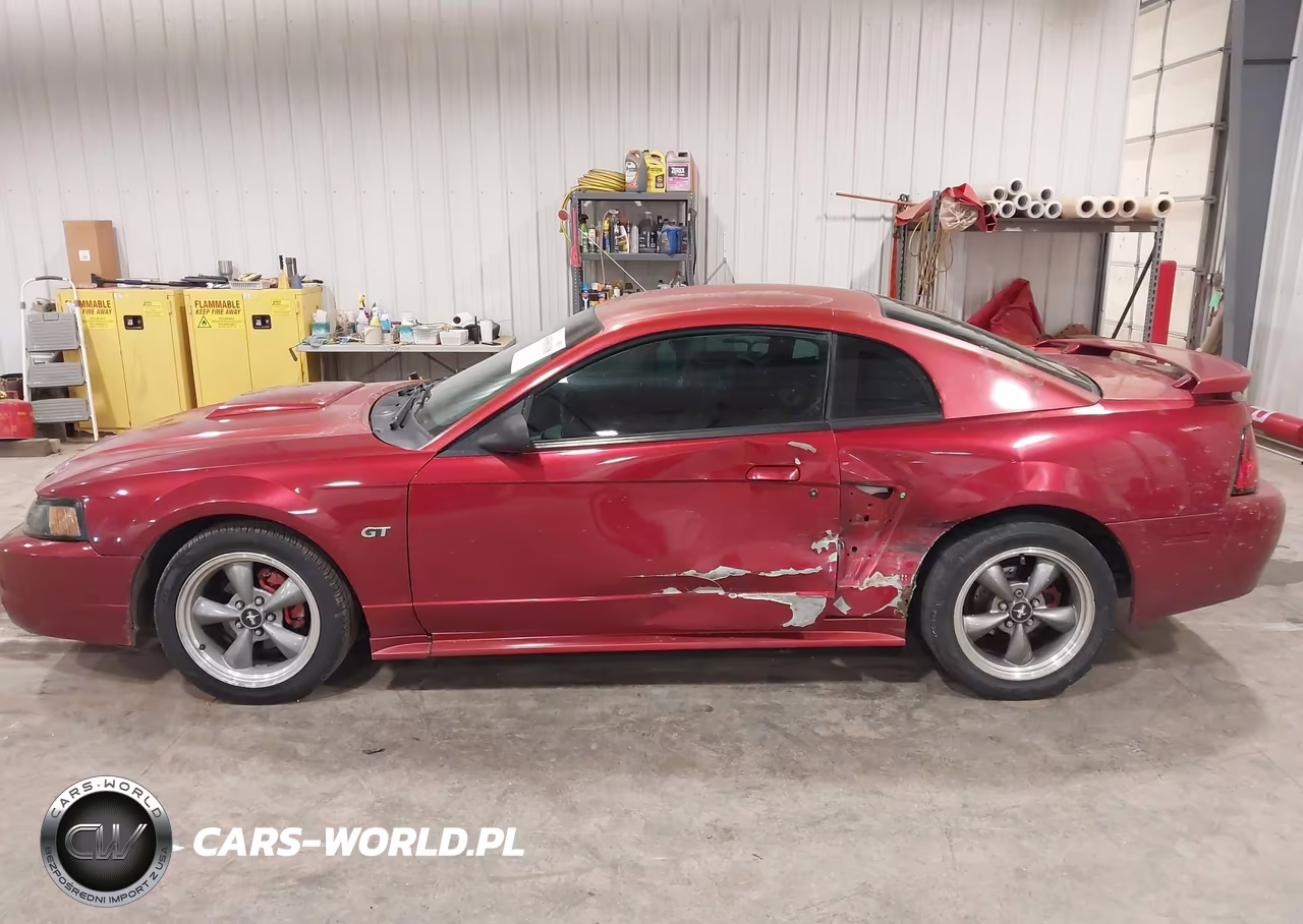 2003 Ford Mustang Gt VIN:1FAFP42X33F304003 - 14
