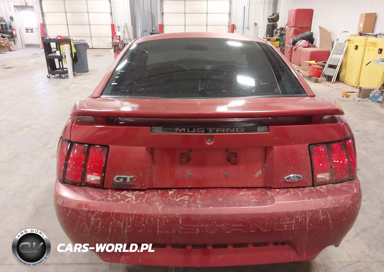 2003 Ford Mustang Gt VIN:1FAFP42X33F304003 - 16