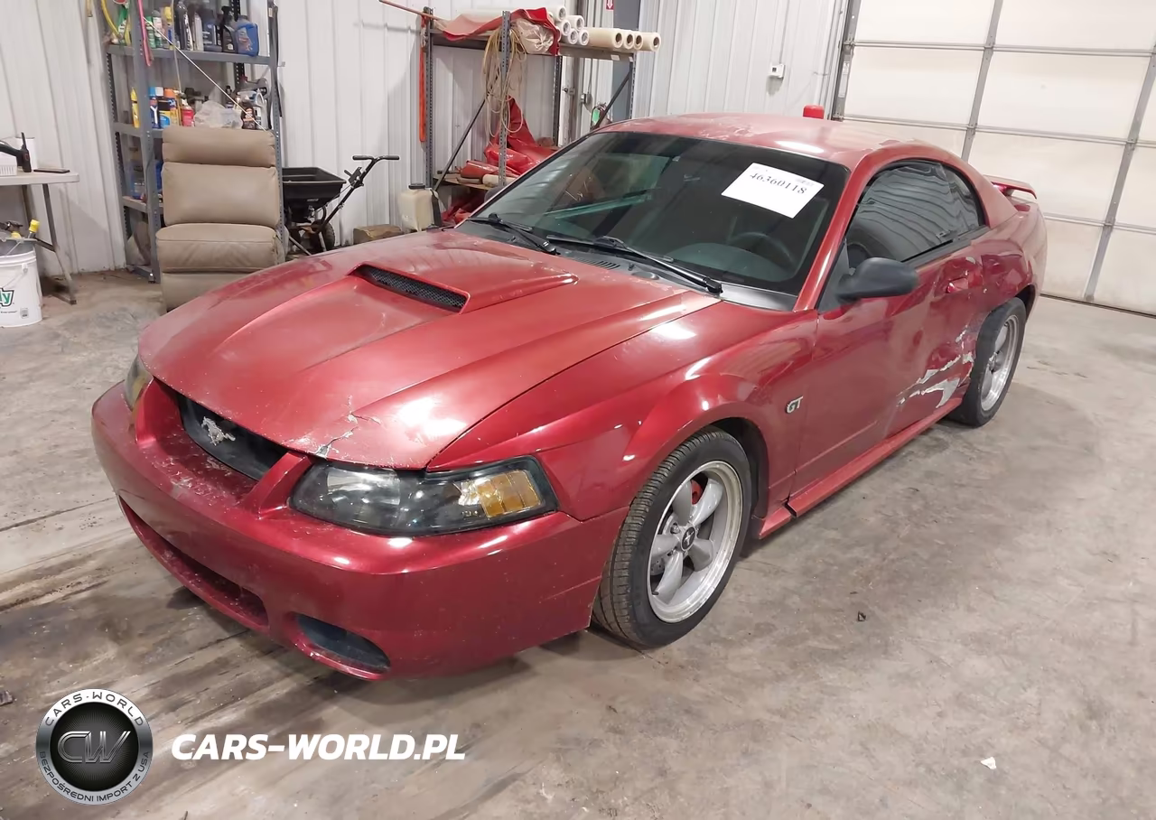2003 Ford Mustang Gt VIN:1FAFP42X33F304003 - 2
