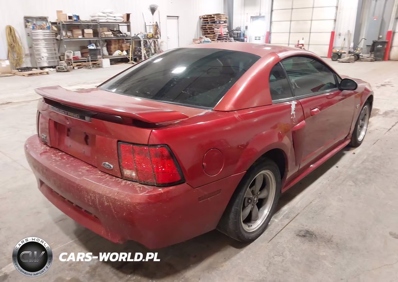 2003 Ford Mustang Gt VIN:1FAFP42X33F304003 - 4