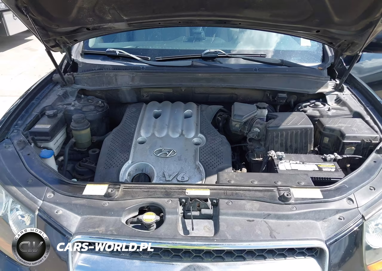 2007 Hyundai Santa Fe Gls VIN:5NMSG73D17H065073 - 10