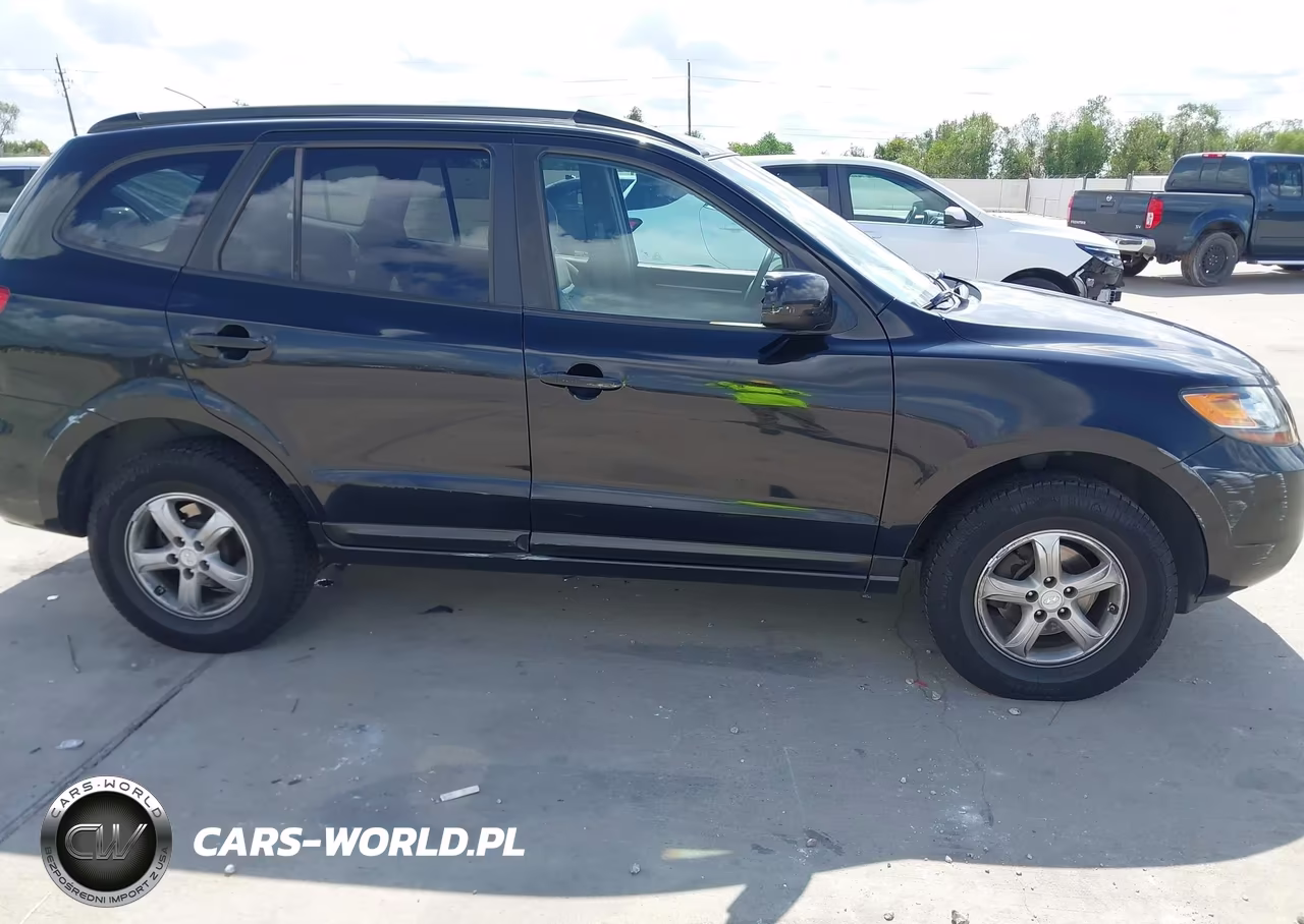 2007 Hyundai Santa Fe Gls VIN:5NMSG73D17H065073 - 6