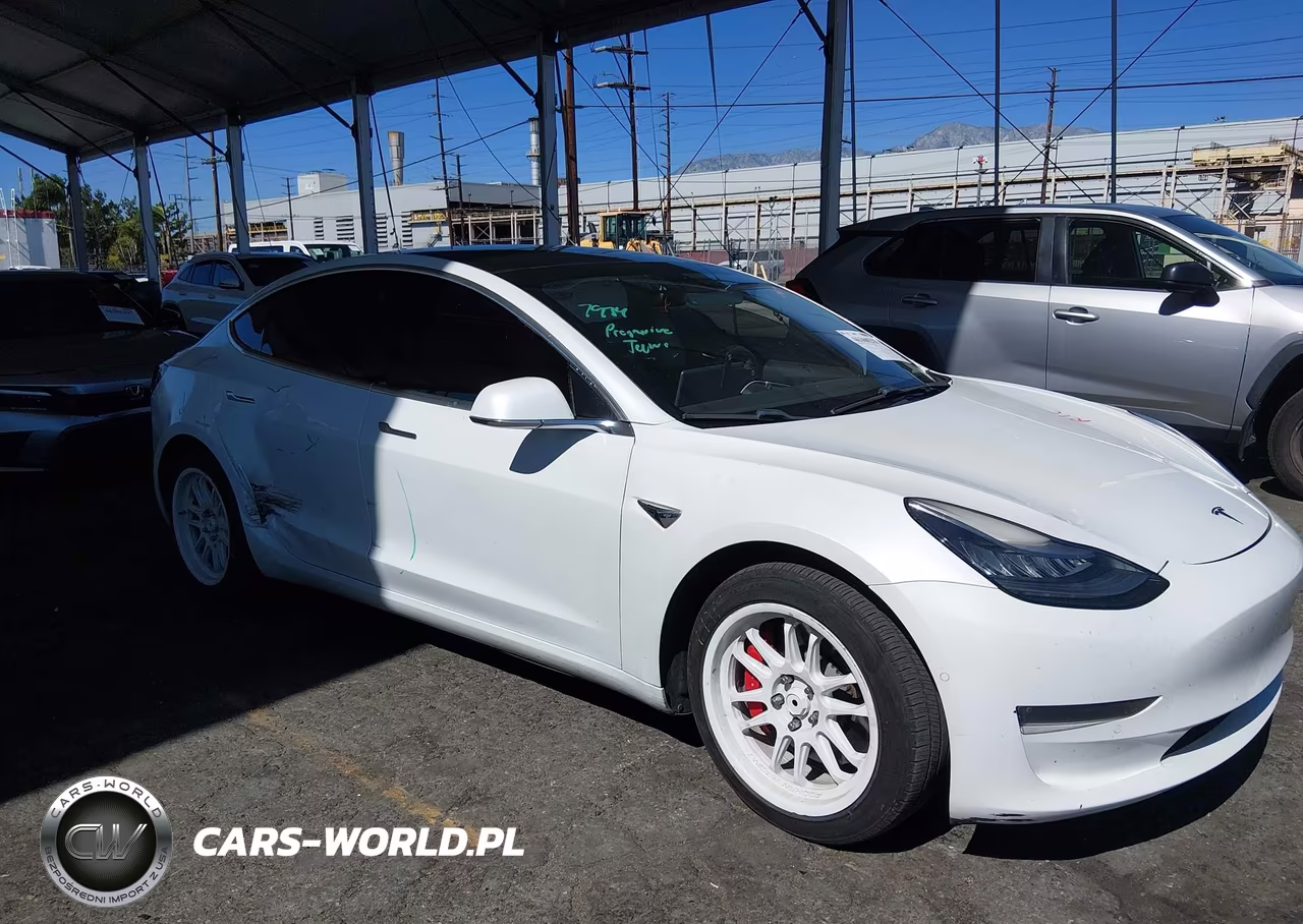 2019 Tesla Model 3 Long Range-Performance