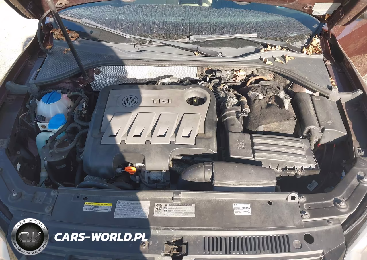 2014 Volkswagen Passat 2.0L Tdi Se VIN:1VWBN7A36EC007842 - 10