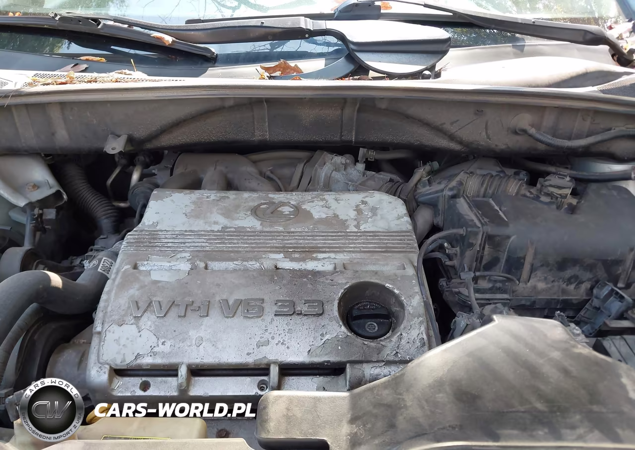 2005 Lexus Rx 330 VIN:2T2HA31U95C043022 - 10