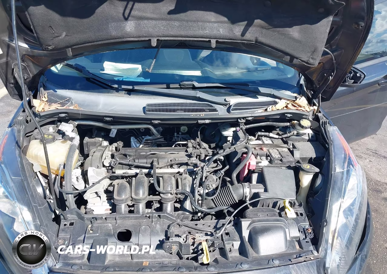 2014 Ford Fiesta Se VIN:3FADP4BJ3EM171149 - 10