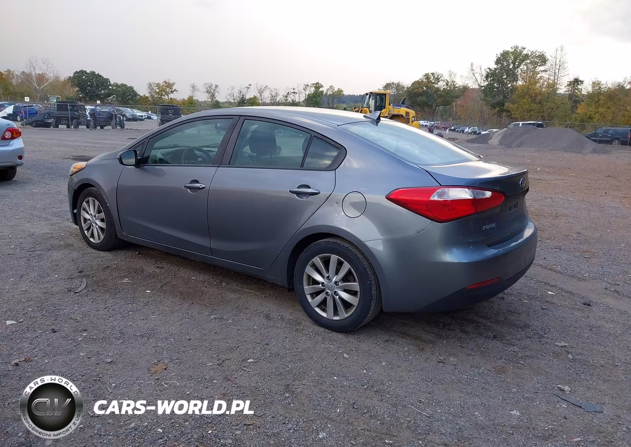 2016 Kia Forte Lx VIN:KNAFX4A68G5609170 - 3