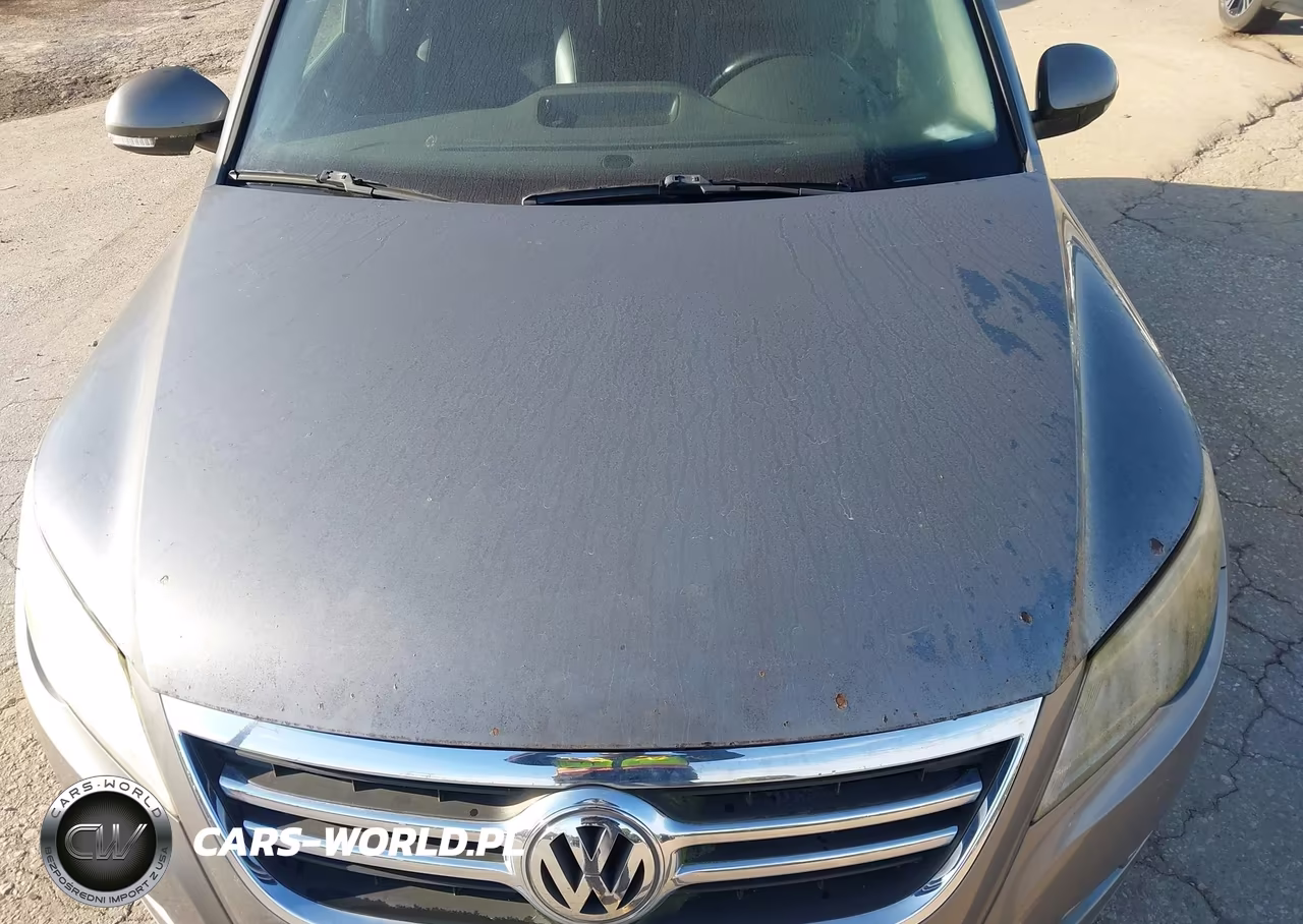 2010 Volkswagen Tiguan Wolfsburg Edition VIN:WVGBV7AX0AW513855 - 10