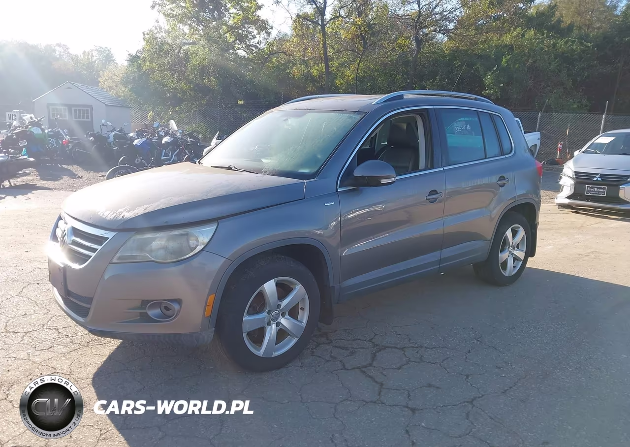 2010 Volkswagen Tiguan Wolfsburg Edition VIN:WVGBV7AX0AW513855 - 2