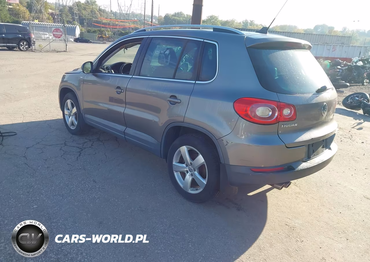 2010 Volkswagen Tiguan Wolfsburg Edition VIN:WVGBV7AX0AW513855 - 3