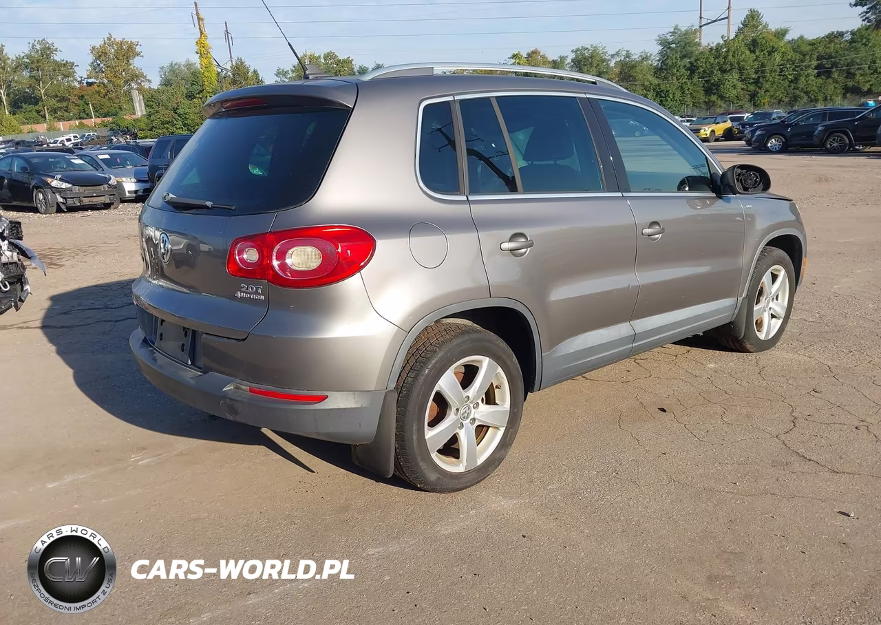 2010 Volkswagen Tiguan Wolfsburg Edition VIN:WVGBV7AX0AW513855 - 4