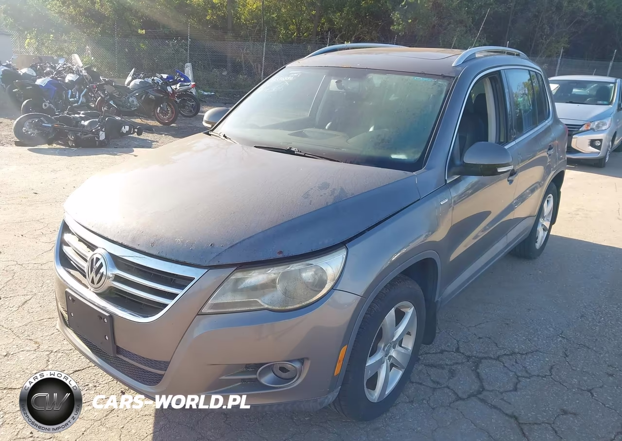 2010 Volkswagen Tiguan Wolfsburg Edition VIN:WVGBV7AX0AW513855 - 6