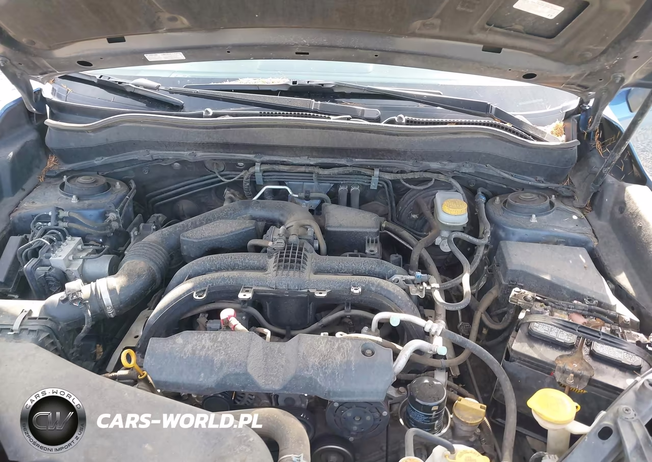 2017 Subaru Forester 2.5I Premium VIN:JF2SJAGC1HH525868 - 10