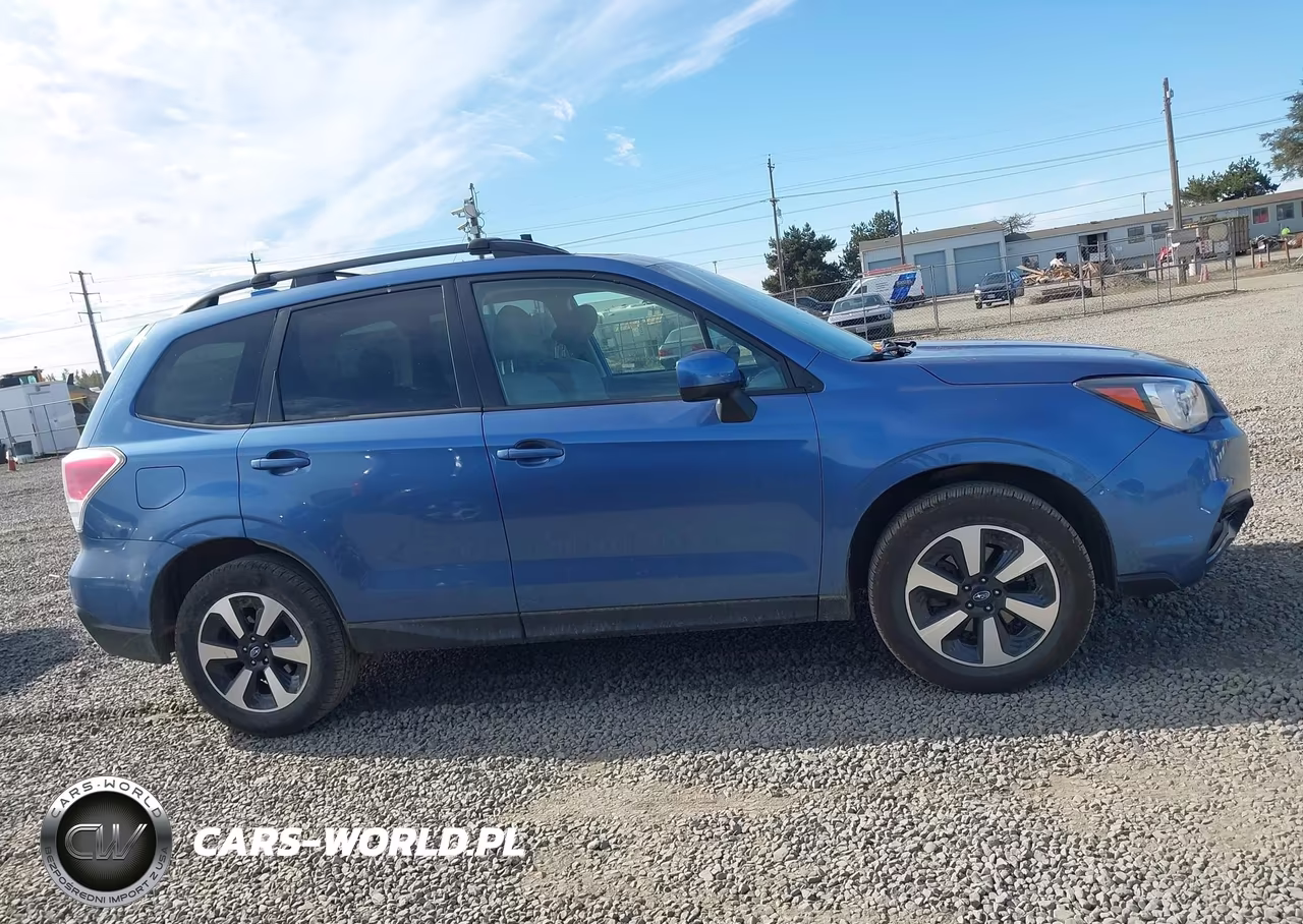 2017 Subaru Forester 2.5I Premium VIN:JF2SJAGC1HH525868 - 13
