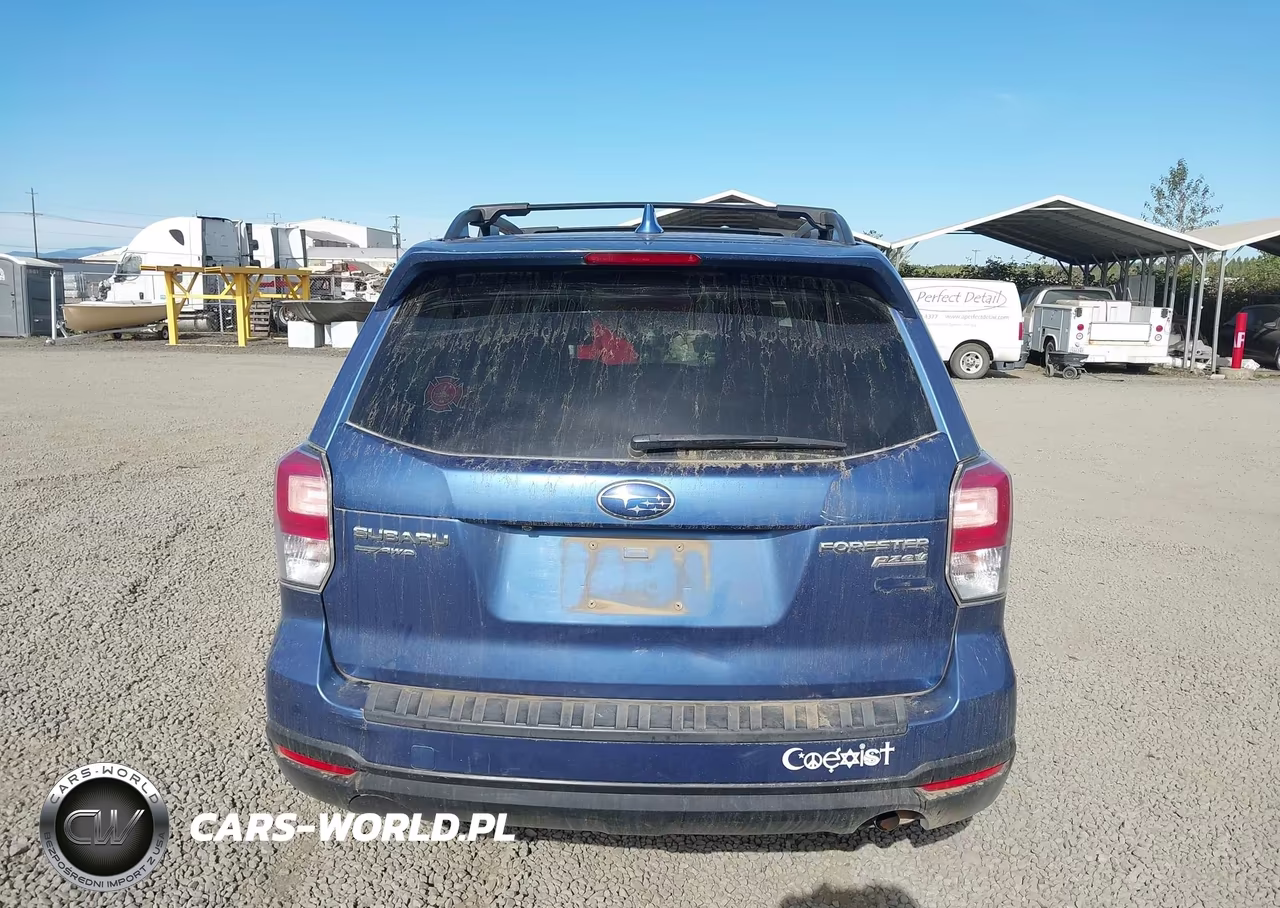 2017 Subaru Forester 2.5I Premium VIN:JF2SJAGC1HH525868 - 16