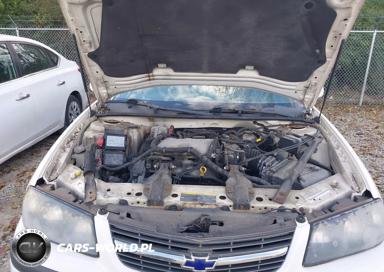 2004 Chevrolet Impala VIN:2G1WF52EX49450483 - 10