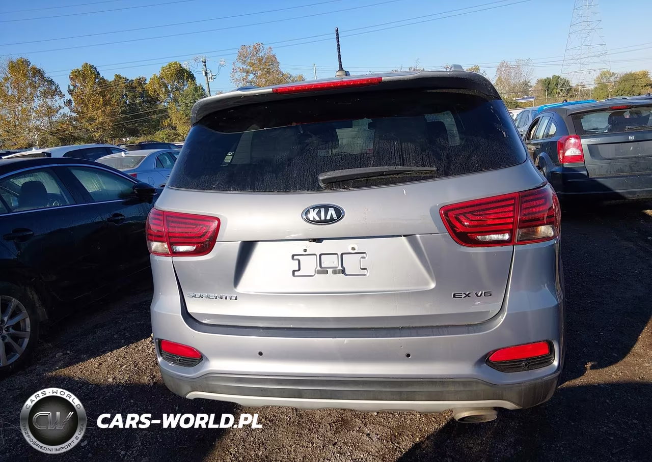 2020 Kia Sorento 3.3L Ex VIN:5XYPHDA57LG706311 - 17